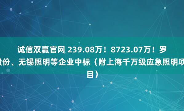 诚信双赢官网 239.08万！8723.07万！罗曼股份、无锡照明等企业中标（附上海千万级应急照明项目）