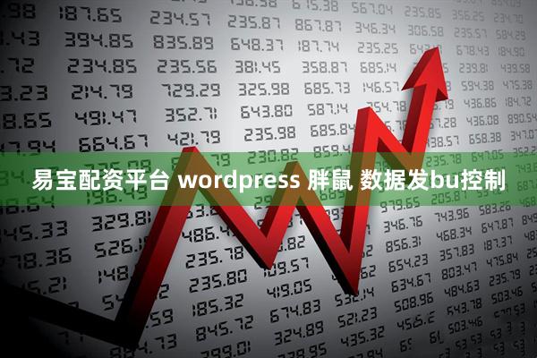 易宝配资平台 wordpress 胖鼠 数据发bu控制