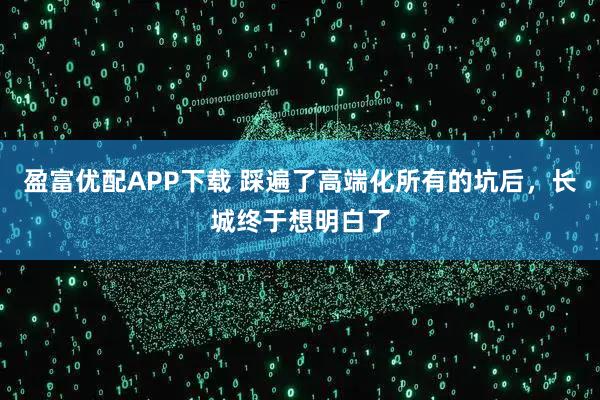 盈富优配APP下载 踩遍了高端化所有的坑后，长城终于想明白了